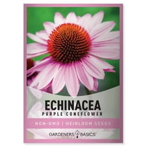 Echinacea Purple Coneflower Seeds
