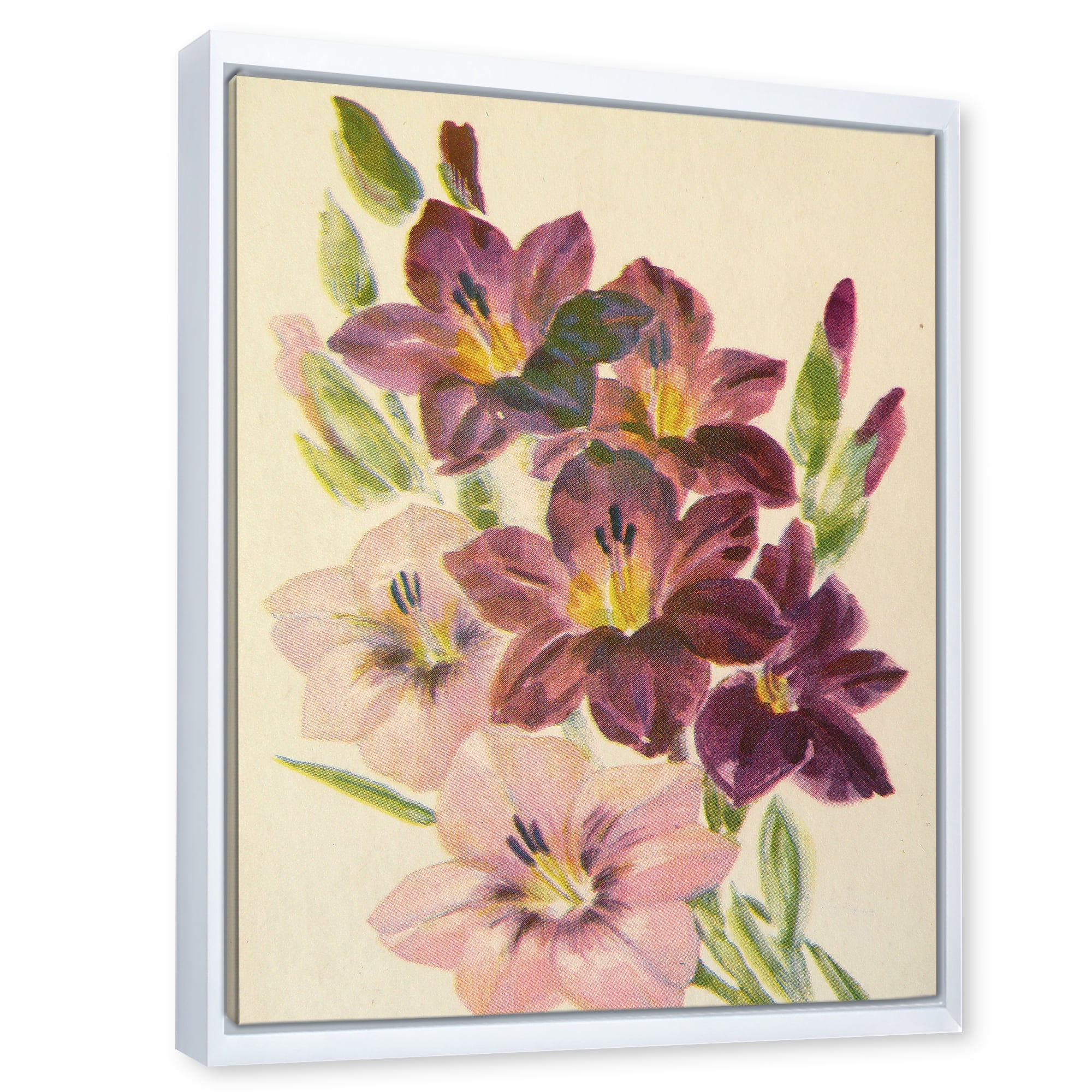Designart 'Retro Dark and Light Pink Gladiolus' Traditional Framed Canvas Wall Art Print