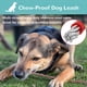 thumbnail image 4 of correa para perros fácil de limpiar correa de entrenamiento para perros correa para perros para masticar o cachorros para la dentición MFZFUKR CPB-US-DYP312-3, 4 of 5