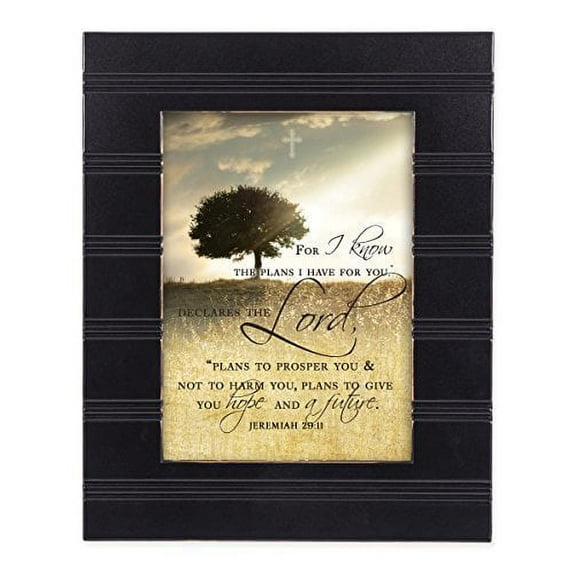 For I know the Plans I Have For You Jeremiah 29:11 Black 8 x 10 Sentimental Framed Art Plaque