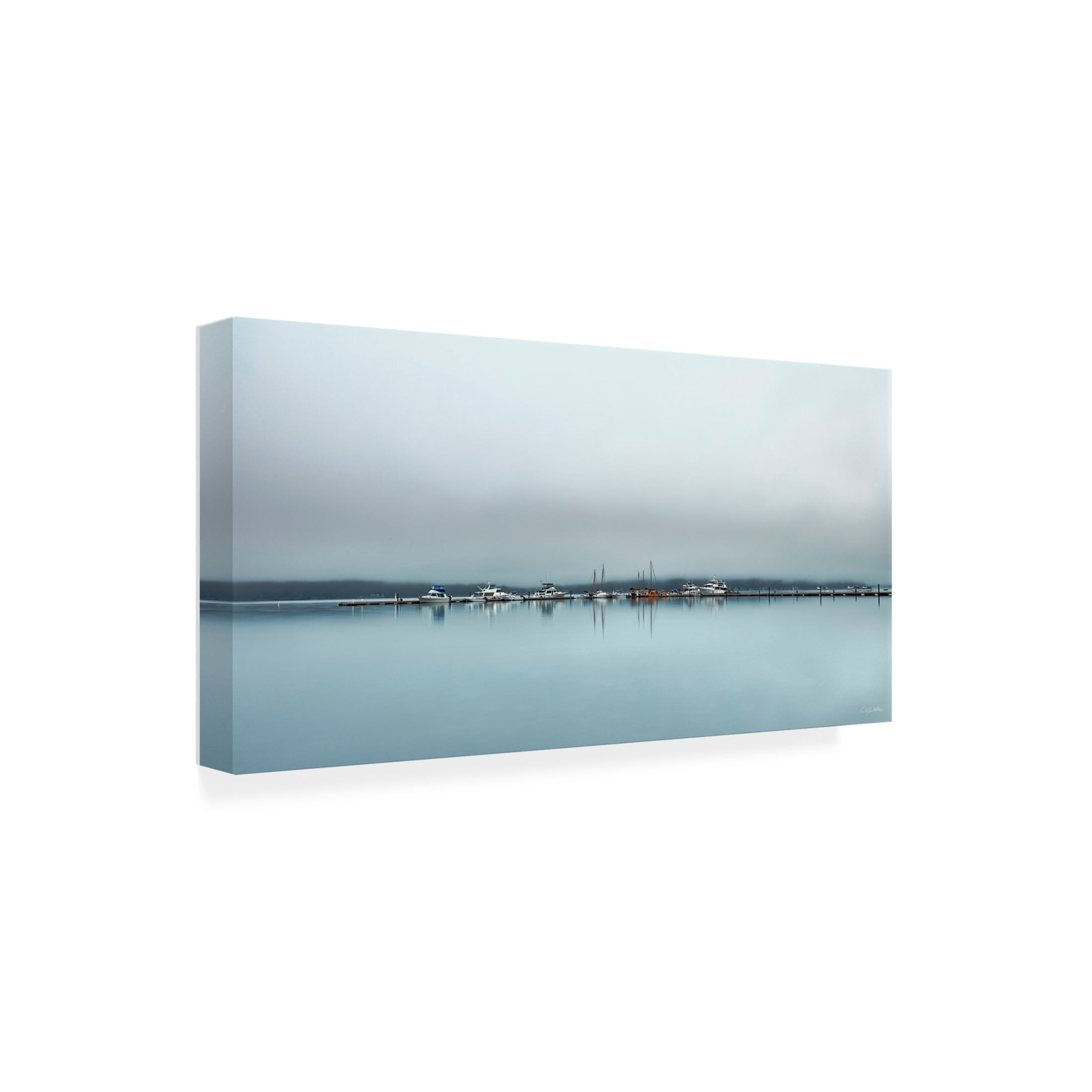 Canvas Wall Art - Kent Burkhardsmeier 'Chilling Fog' Wall Art for Living Room, Bedroom, or Office Décor by Trademark Fine Art - 24 x 12 Inches