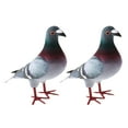 thumbnail image 4 of Paloma artificial de espuma artificial, palomas de simulación, adornos de palomas en miniatura. 2 uds estilo A, 4 of 9