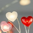thumbnail image 4 of Tri-Color Heart LED String Lights - 118.1in 30 Lights USB Powered, 8 Modes with Timer, IP65 Waterproof, Romantic Valentines Decor for Home Patio Wreath Party, 4 of 9