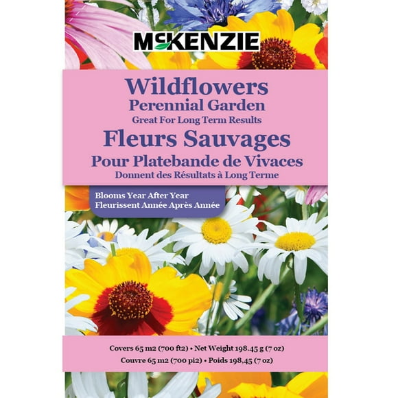 Fleurs sauvages vivaces