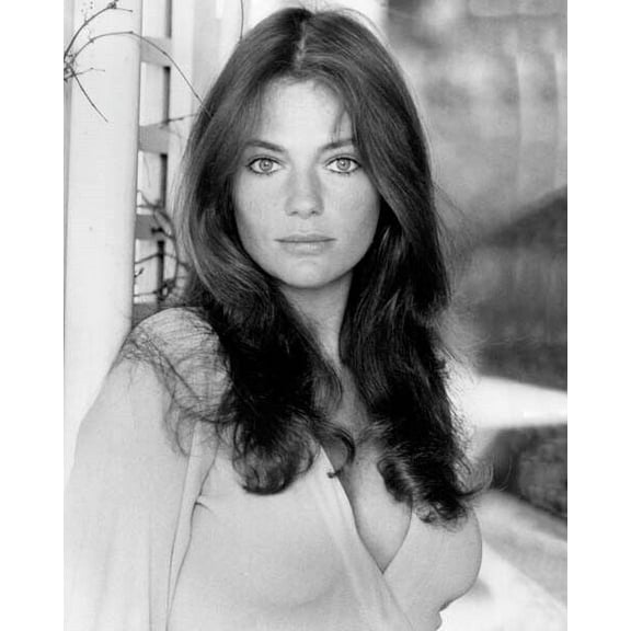 Jacqueline Bisset huge cleavage as Julie 1973 Day For Night 24x36 inch poster
