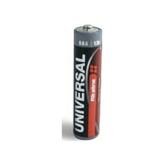 BBW AAA Alkaline Battery - 100 Pack   Free Shipping