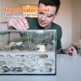 thumbnail image 2 of 2 Pcs Conteneur d'Alimentation pour Fourmis, Nourrisseurs d'Eau pour Fourmis, Zone d'Alimentation, 2 of 8