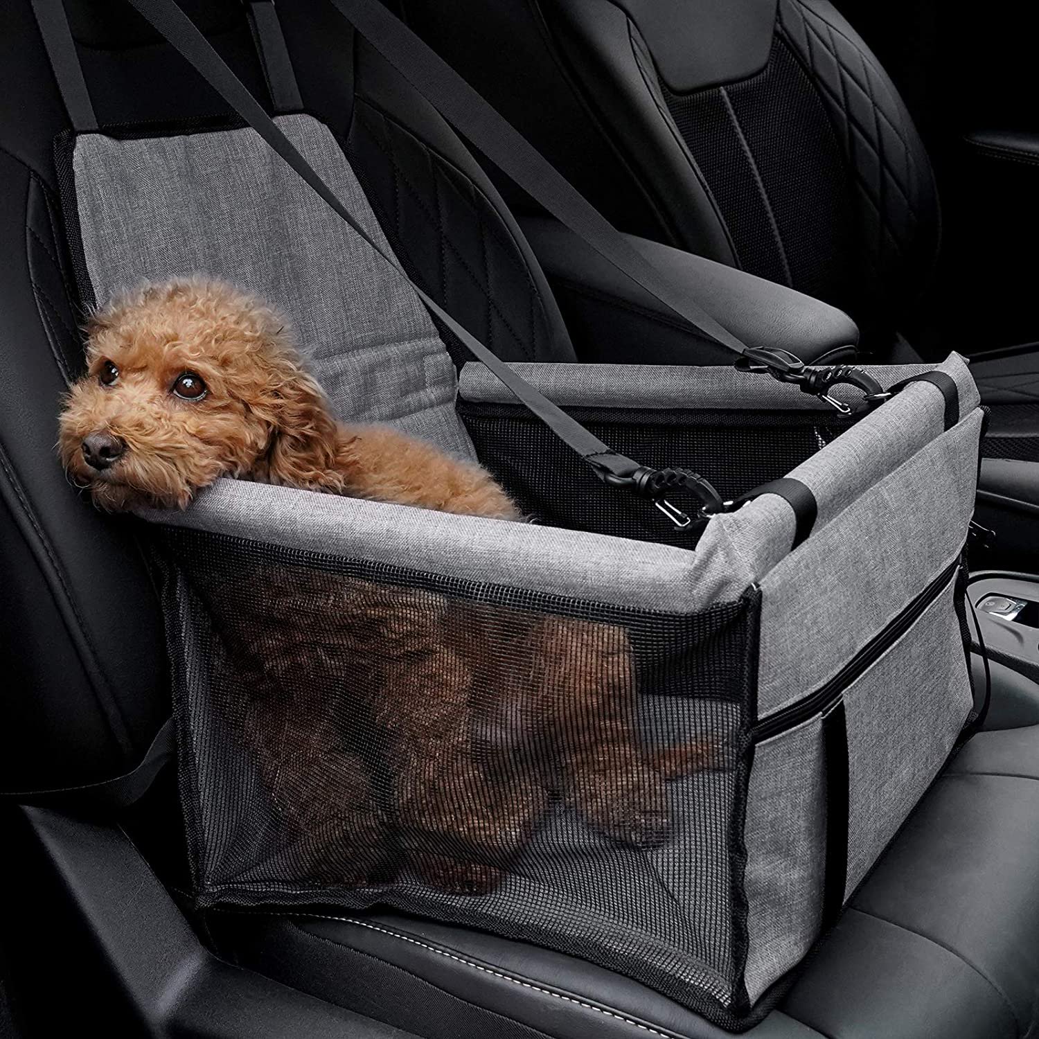 Are Dog Car Seats Safe