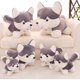 thumbnail image 1 of Bonito perro husky de peluche, juguete de peluche de animales???20cm??‰, 1 of 2