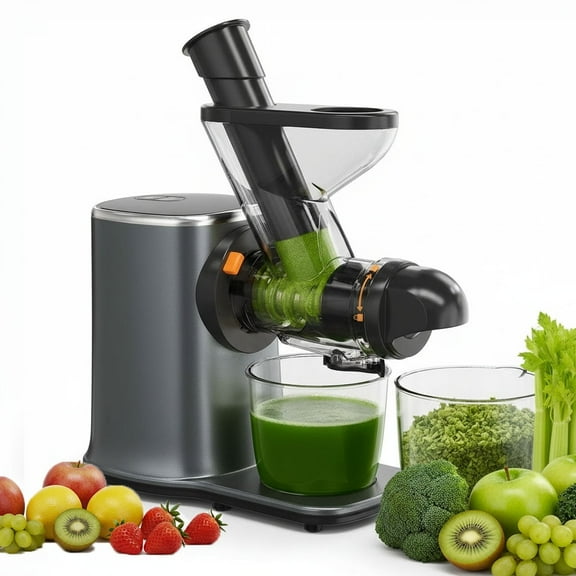 Philergo Cold Press Juicer, Powerful Slow Juicer with Quiet Motor and Reverse Function, High Juice Yield for Fruits and Vegetables, Dishwasher Safe, Black
