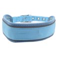 thumbnail image 1 of Collar para perros resistente de 2 pulgadas de ancho, reflectante, con herrajes de acero inoxidable ajustables., 1 of 5