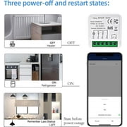 Smart WiFi Light Switch, RF Wireless Remote Control Switch Kit, APP & RF433MHz, Compatible with Alexa/Google Home,Voice Control,Timer Function,No Hub Required,16A