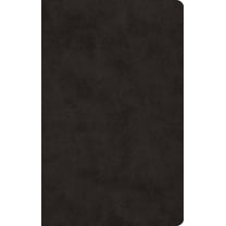 ESV Large Print Value Thinline Bible (Trutone, Black), (Hardcover)