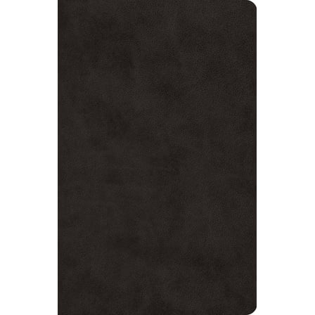 ESV Large Print Value Thinline Bible (Trutone, Black), (Hardcover)