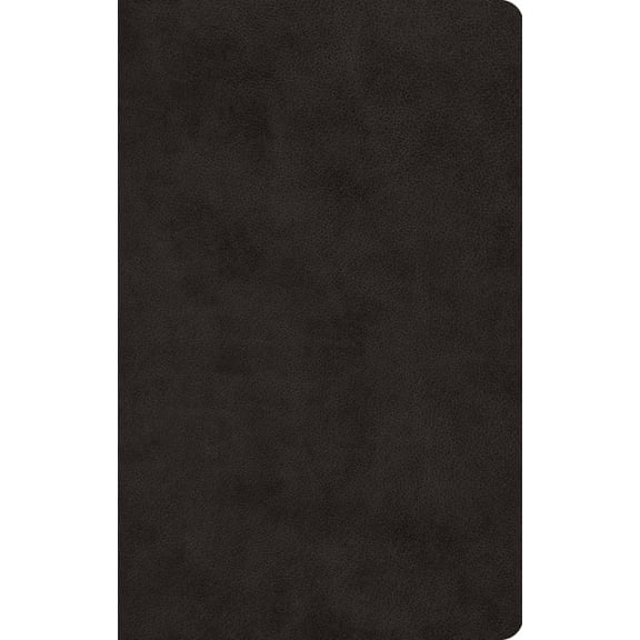 ESV Large Print Value Thinline Bible (Trutone, Black), (Hardcover)