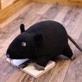 thumbnail image 4 of for Creative Stuffed Rat Plush Animal Toy for Beds Sofas Home Decor Skin-friendl, 4 of 10