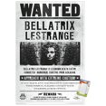 thumbnail image 1 of Le monde des sorciers: Harry Potter - Bellatrix Wanted Poster, 1 of 4