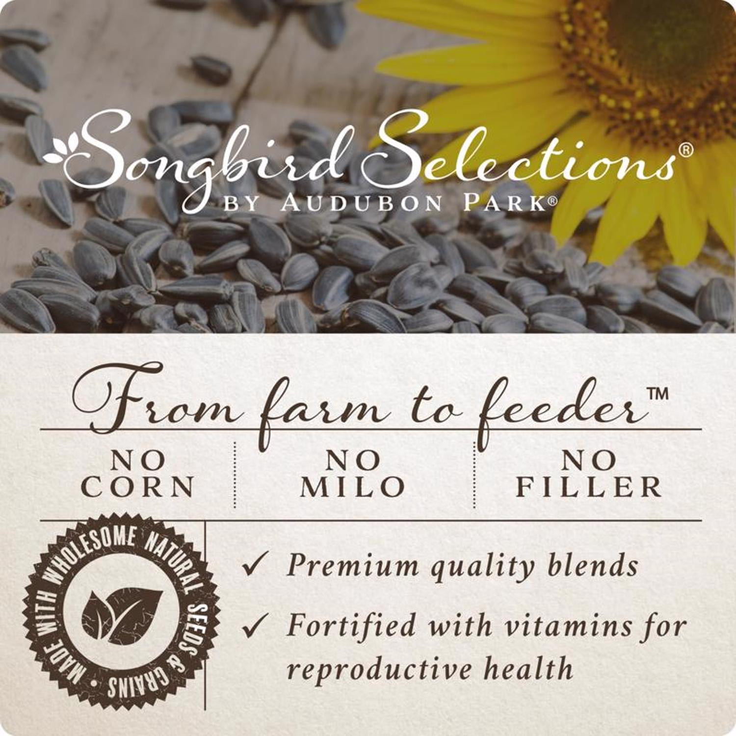 Songbird Selections Wild Finch Feast with Nyjer Wild Bird Seed Wild Bird Food 10 lb