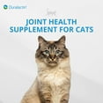 thumbnail image 3 of PRN Pharmacal Duralactin Feline - Joint Health Supplement for Cats & Kittens Supports Chronic Soreness, Joint Health & Overall Wellness - Gelatin Capsules Containing Dried Milk Protein - 60 Capsules, 3 of 7