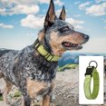 thumbnail image 4 of Adjustable Dog Collar, Strong and Durable Pet Training Leashes for Small, Medium, and Large Dogs, 4 of 5