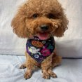 thumbnail image 3 of Pet Bandanas with Cartoon Pattern - Bright Color, Friendly to Skin, Enhance Atmosphere - Polyester Halloween Dog Bandanas Triangle Saliva Scarf - Pet Supplies, 3 of 8