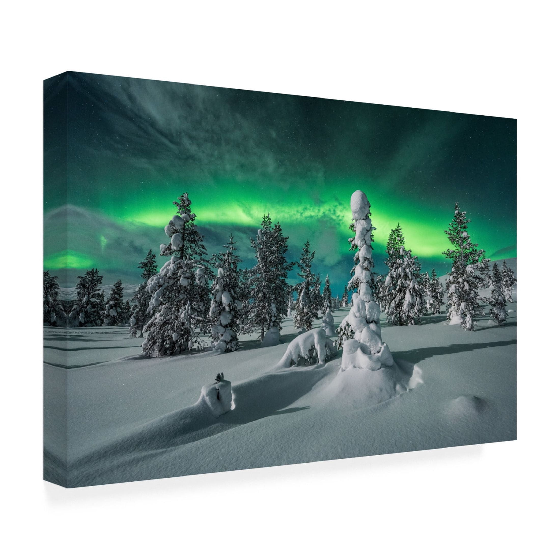 Canvas Wall Art - Raymond Hoffmann ' Polar Night' Wall Art for Living Room, Bedroom, or Office D?cor by Trademark Fine Art - 32 x 22 Inches
