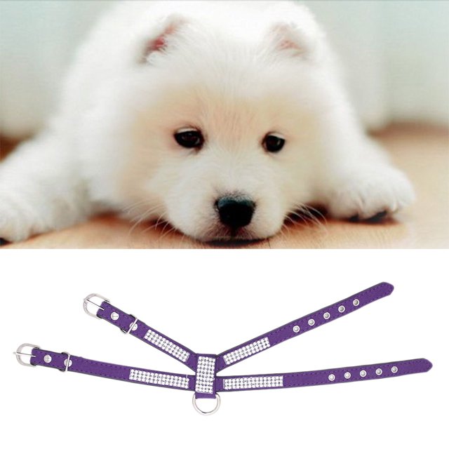 Moda Bling Diamond Glitter Collar De Cristal Puppy cat and dog Arnés Correa Para El Pecho Mascota De - Perfecto Para Mascotas Y Caminar Diariamente Morado m Colco Arnés para perros