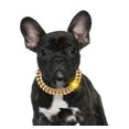 thumbnail image 2 of Cadena de Oro para Mascotas, Collar de Moda para Perros y Gatos para Mascotas pequeñas y Medianas, decoración de Moda (Dorado), 2 of 5