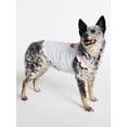 thumbnail image 5 of Kacey Lee Ruffled Spaghetti Strap Pet Tee for Cats and Dogs, Small, 5 of 7