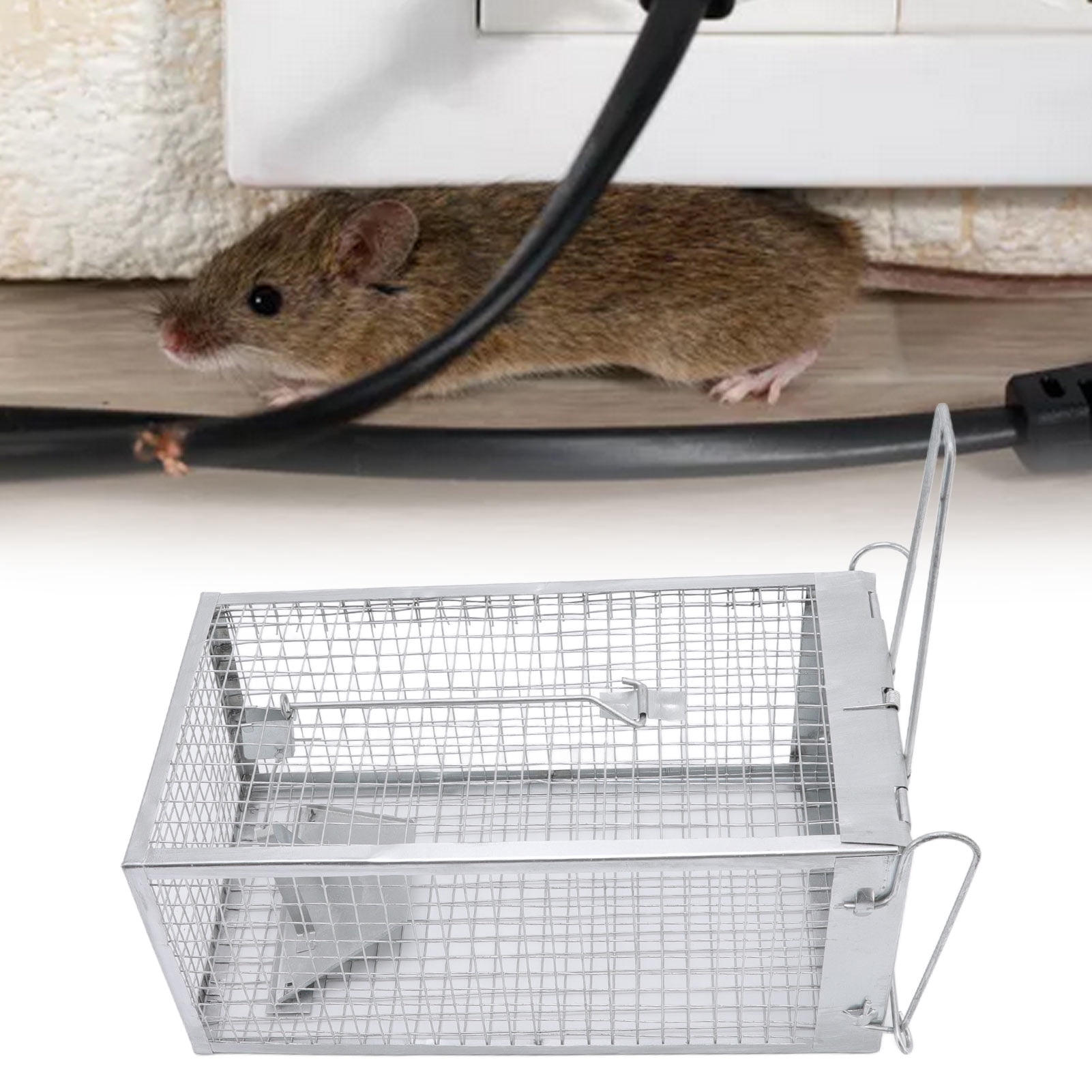 1 Door Trap, Iron Fully Enclosed Reusable  Trap  For Business Units