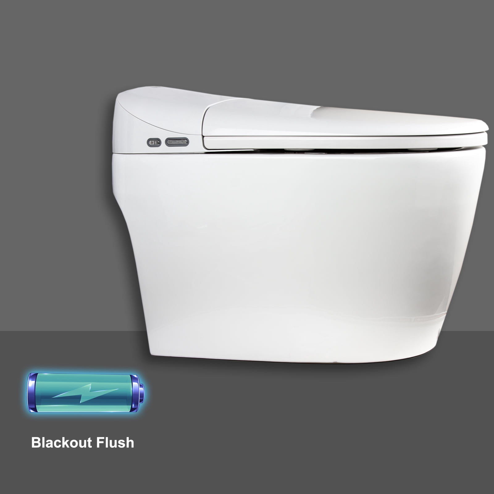 Euroto 1-Piece 20.87" x 29.92" Toilet Bidet Combo Electric Bidet Toilet Seats, White with Heated Seat