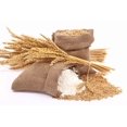 thumbnail image 1 of Durum Farine de Blé Entier Moulue sur Meule de Pierre-, 1 of 1
