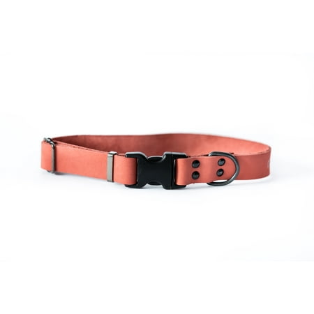 UPC: 0686162716463 | Sport Style Luxury Leather Dog Collar