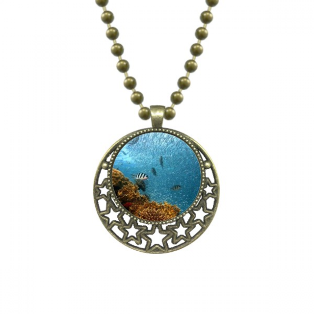 Ocean Fish coral Science Nature Picture Colgante Estrella Collar Luna Cadena Joyas Unbranded M