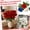 3-Pack, variant on Artificial Roses, Red White Blue Fake Roses Flowers Patriotic, Rosas Artificiales Para Decoracion for Wedding Decor and Home Decor, Fake Roses for Table Decoration