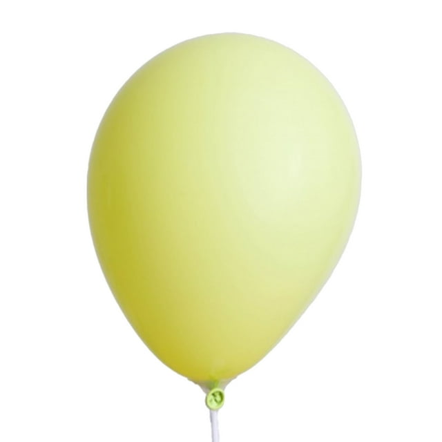 Floso Ballons Opaques en Latex (Lot de 100)