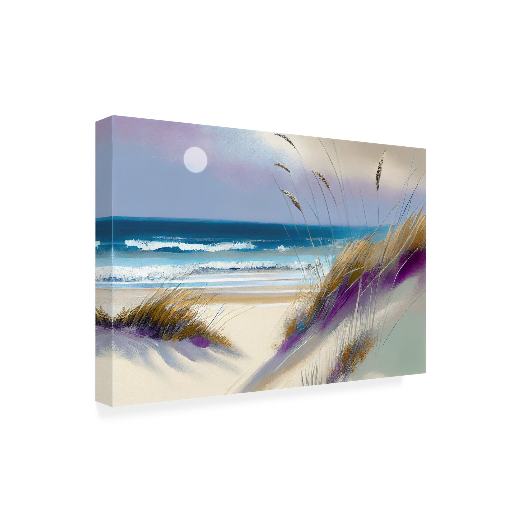 Canvas Wall Art - Sasha 'Euphoria VI' Wall Art for Living Room, Bedroom, or Office Décor by Trademark Fine Art - 32 x 22 Inches