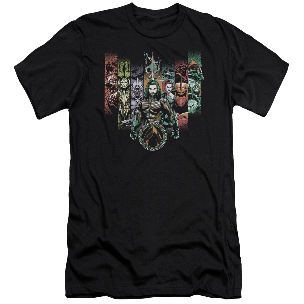 Aquaman Movie Unite The Kingdoms Premium S/S Adult 30/1 T-Shirt Black