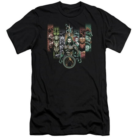 Aquaman Movie Unite The Kingdoms Premium S/S Adult 30/1 T-Shirt Black