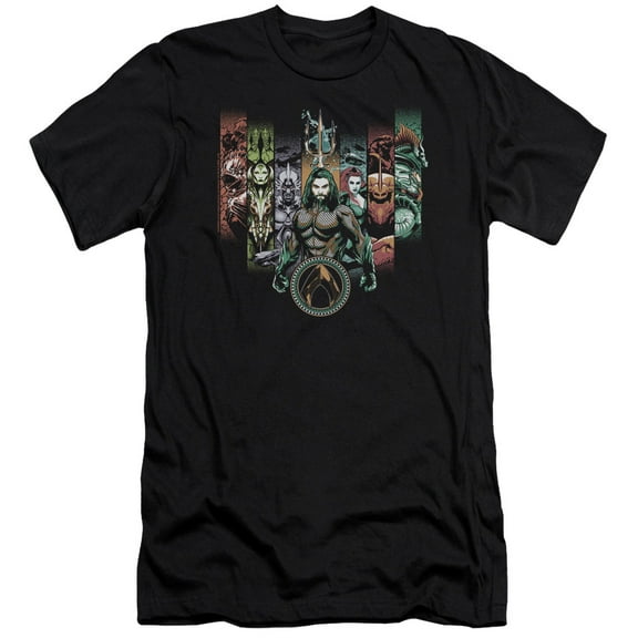 Aquaman Movie Unite The Kingdoms Premium S/S Adult 30/1 T-Shirt Black