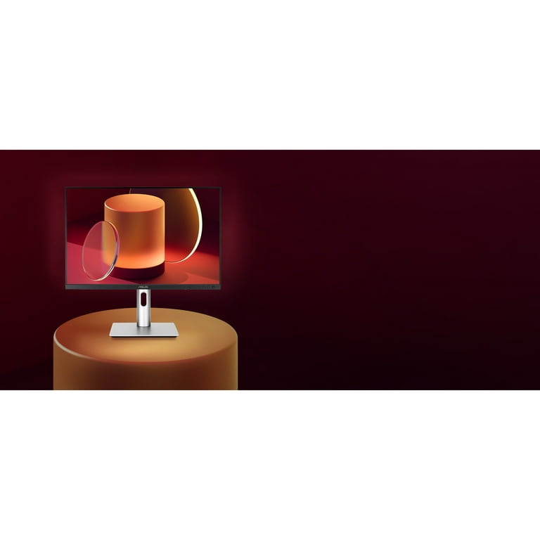 ASUS ProArt 24.1 ASUS ProArt 24.1