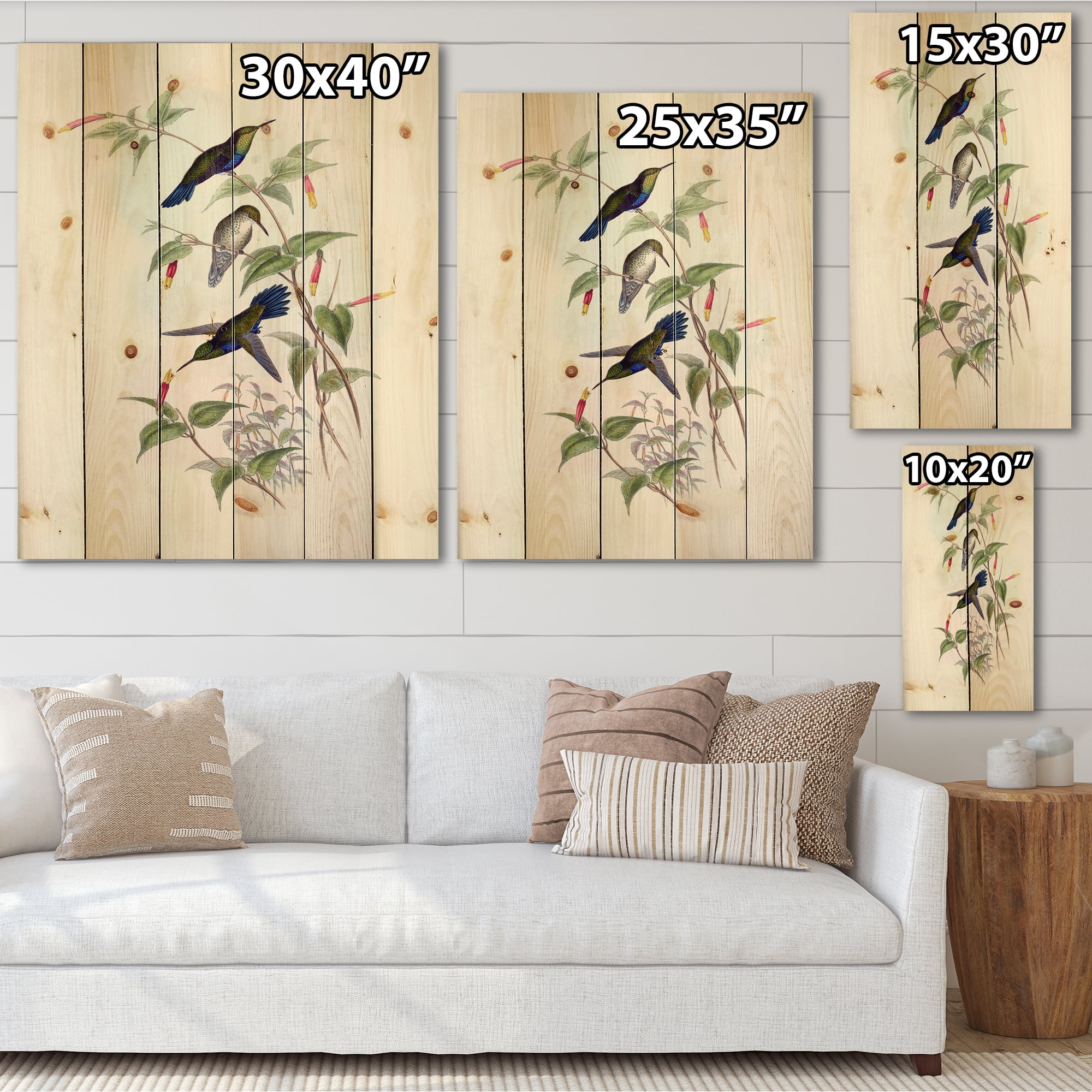 Designart 'Ancient Hummingbird I' Traditional Print on Natural Pine Wood