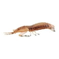 thumbnail image 2 of Modelo educativo de animales marinos perfke gamba 44g Figuras Marinas, 2 of 9