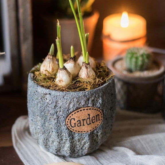 Cement Stone Tiny Garden Planter