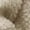 Beige, variant on Maternity Winter Coat | 2-In-1 Zip-Up | Fall Winter Fleece Sweatshirt Warm Kids Carrier Jacket | for Daily Wear