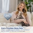 thumbnail image 7 of BISSELL TurboClean Upright Carpet & Upholstery Cleaner, Compact, Lightweight, Pro Max Clean 3952, 7 of 7