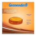 thumbnail image 2 of Graneodín B Benzocaína 10 mg sabor miel limón 24 pastillas, 2 of 4