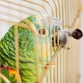 thumbnail image 7 of 12 Pack Bird Cage Clips Bird Cage Food Holder Bird Cage Clips for Treats Parrot Fruit Vegetable Pet Feeder Clips, 7 of 7