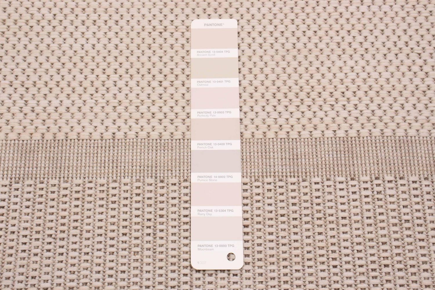 ECARPET Modern Area Rug for Living Room, Dining Room and Bedroom<br>Jute Natura <br>Collection