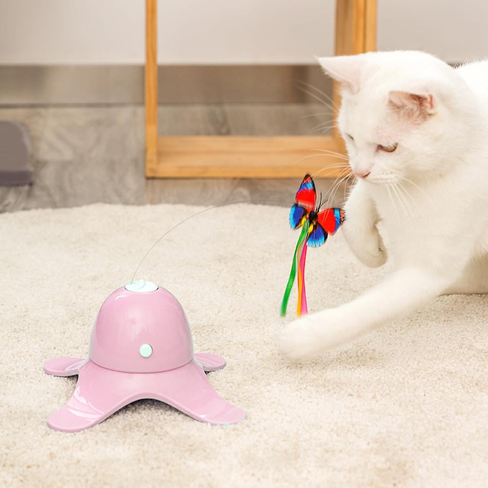 cat exercise toys